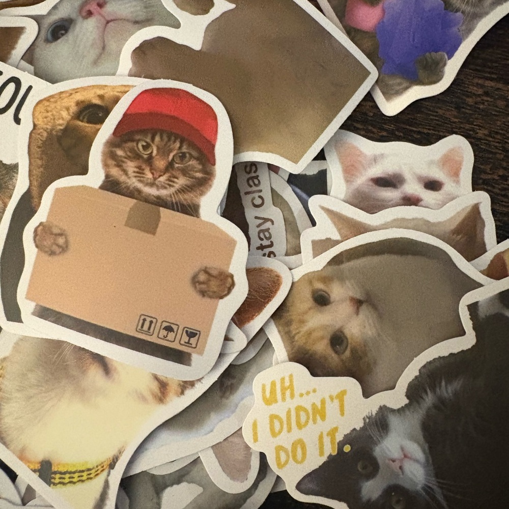 Cat Sticker Pack - Multicolor - Picture 6 of 9